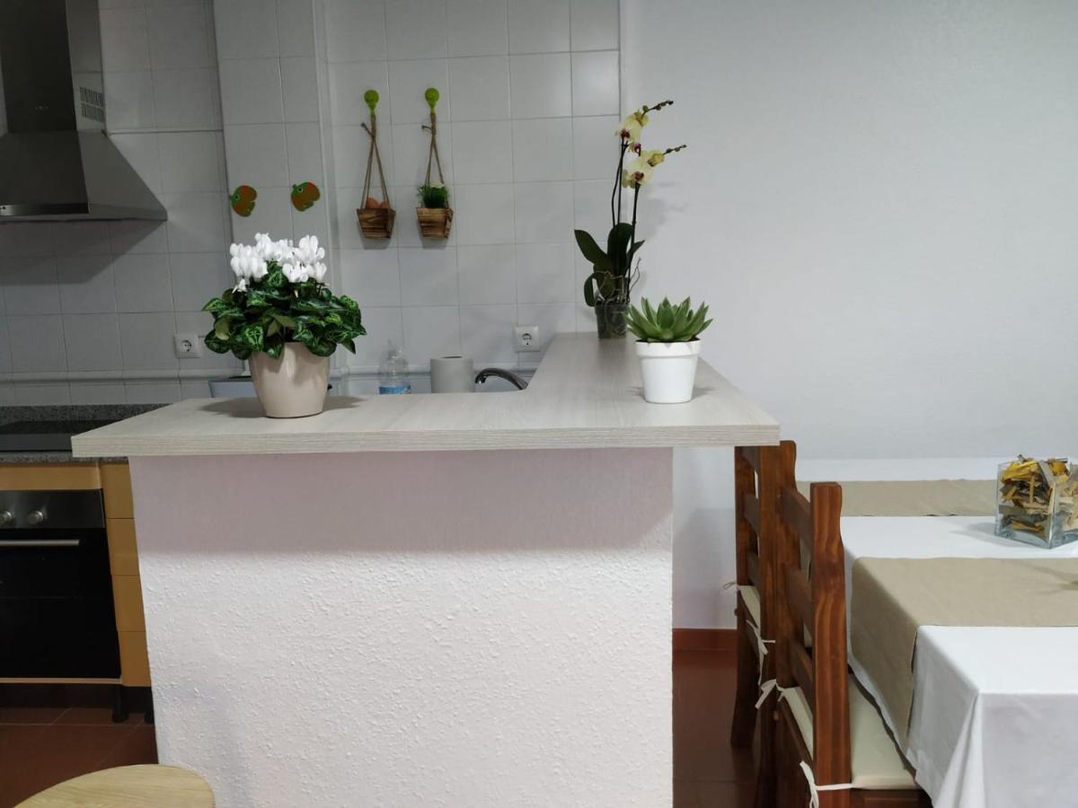 Apartamento Vista Mar La Tortuga 타리파 외부 사진